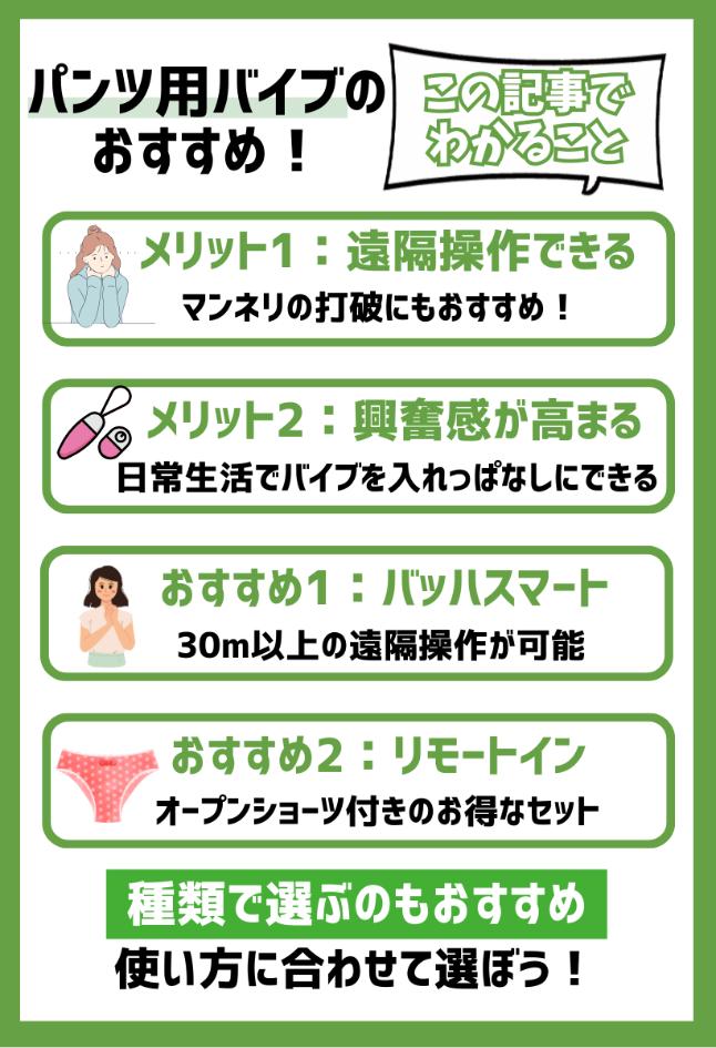 【この記事でわかること】パンツ用バイブのおすすめ