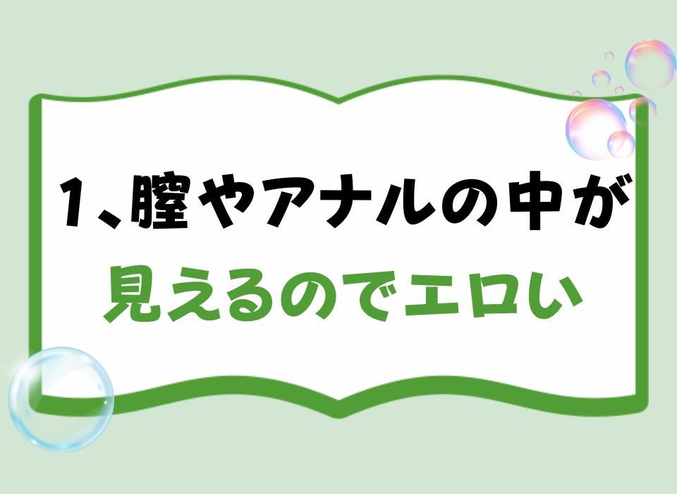 1、膣やアナルの中が見えるのでエロい