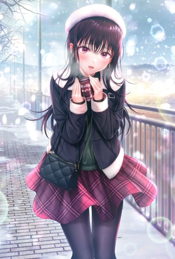 パッケージ画像