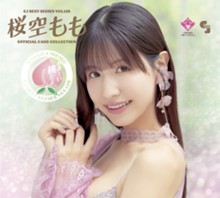 パケ画像