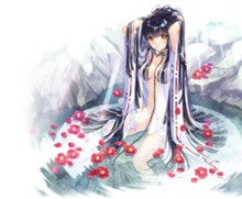 パケ画像
