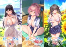 パケ画像