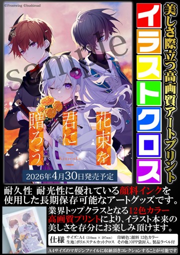 パッケージ画像