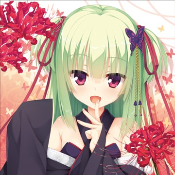 パケ画像