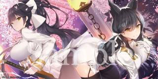 パッケージ画像