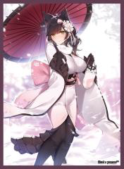 パケ画像