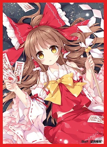 パッケージ画像