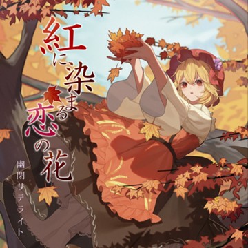 パッケージ画像