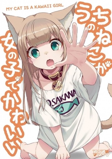 パケ画像
