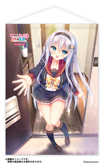 パッケージ画像