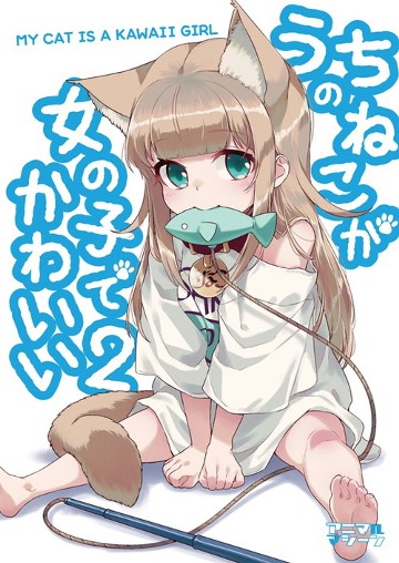 パケ画像