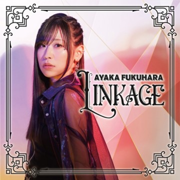 パケ画像