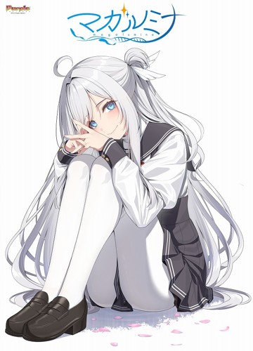 パケ画像
