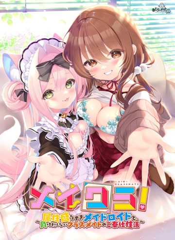 パケ画像