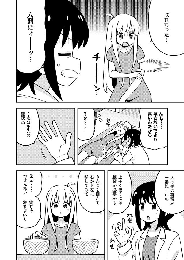 サンプル画像