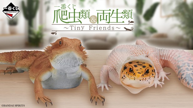 ｢一番くじ 爬虫類＆両生類～Tiny Friends～｣のパッケージ画像