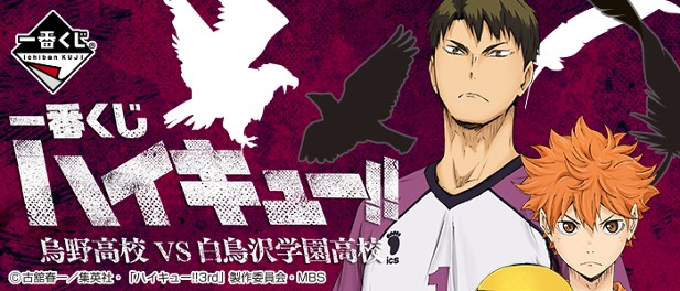 ｢ハイキュー！！～烏野高校vs白鳥沢学園高校～ ｣のパッケージ画像