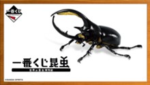 ｢一番くじ昆虫 世界の昆虫博物館｣のパッケージ画像